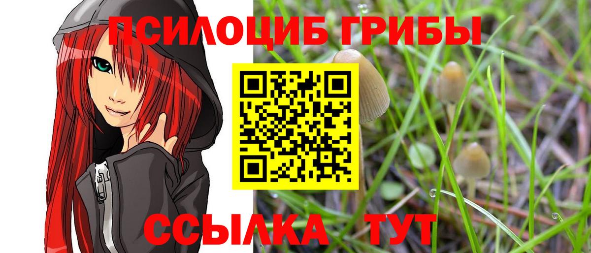 Псилоцибиновые грибы Magic Shrooms  Вход с VPN  Шали 